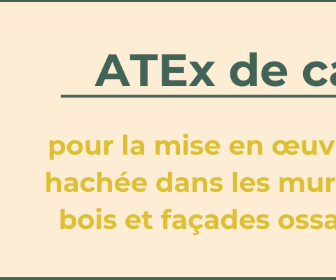 Bandeau Article ATEx Ielo
